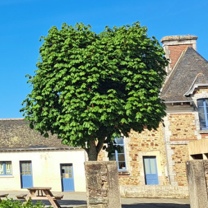 ecole 2